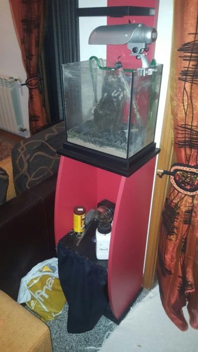 Aquário cubo, filtro, luminária