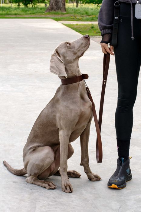 Кожаный поводок ручной работы от украинской мастерской Tissoleather