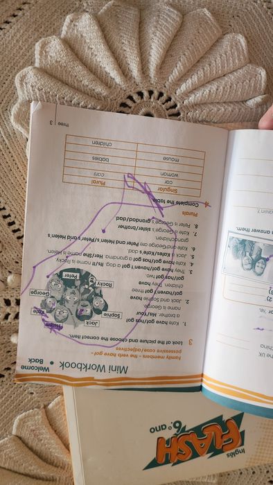 Livro de fichas ingles 6 ano Flash