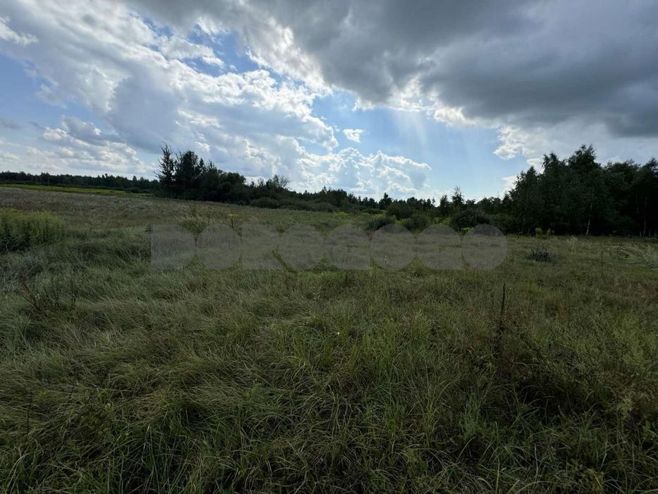 Продаж ділянки ОСГ 1,68 га селище Загальці Бучанського району