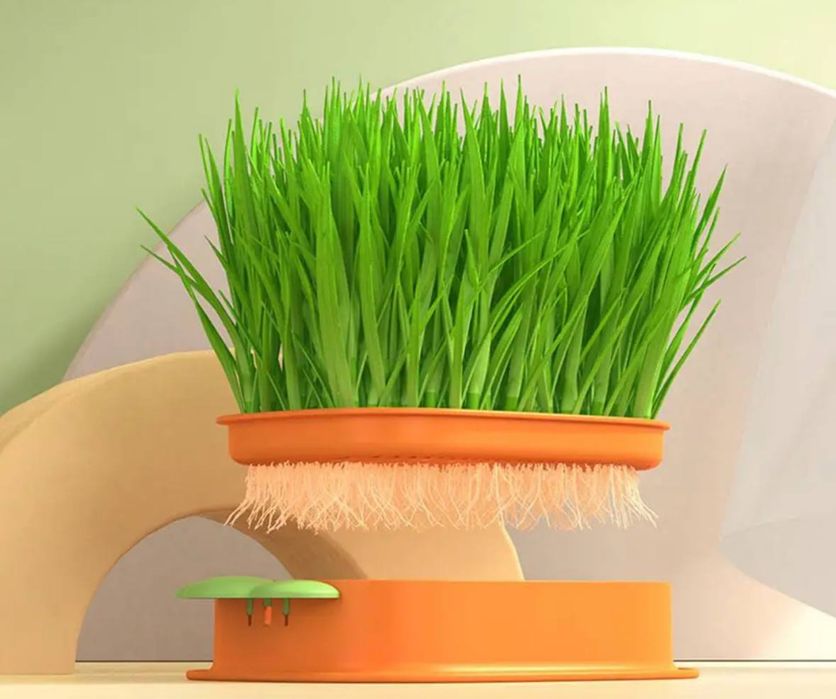 Лоток для гідропонного вирощування мікрозелені для котів