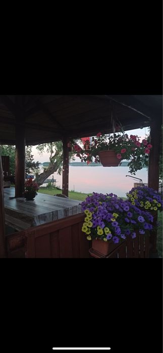 Apartament "Pod Wierzbą"