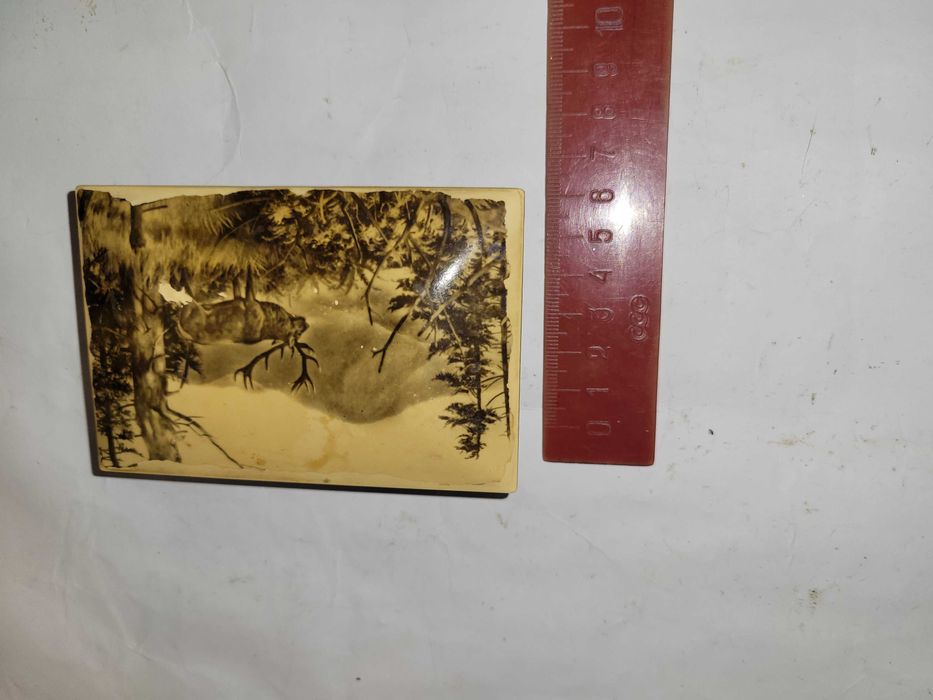 Шкатулка з оленем СССР