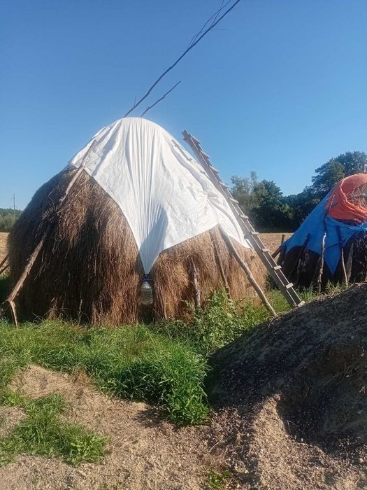 Продам        сіно