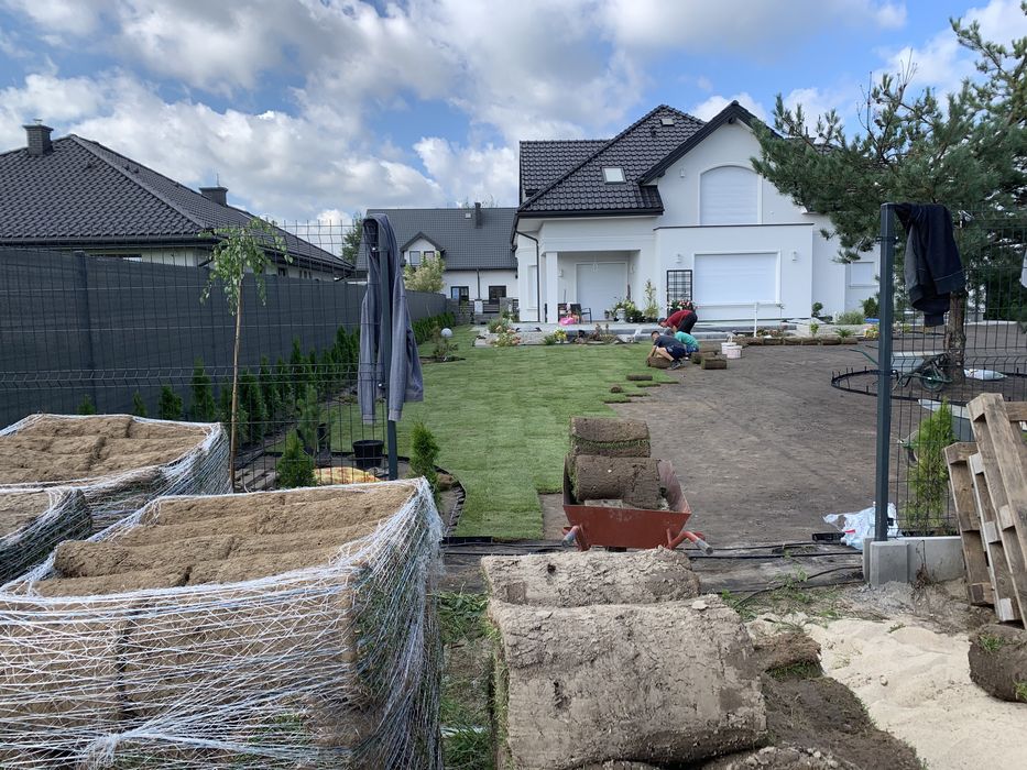 Tuja tuje piękne szmaragd 100-120 cm dowozimy sadzimy