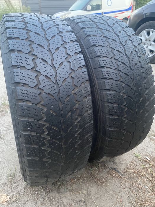 Пара зимних/всесезонных шин Petlas Full Grip PT935 235/65 R16C