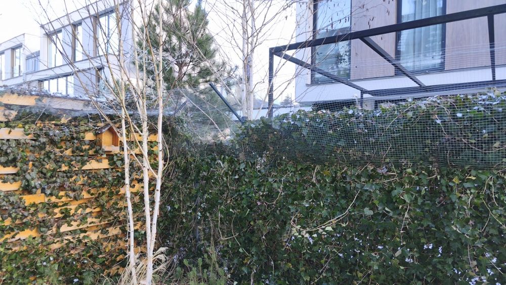 Siatka ochronna dla kotów.