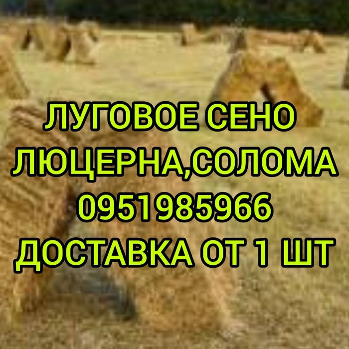 СІНО З ДОСТАВКОЮ від 1 штуки в тюках мішках, сено лісове.
