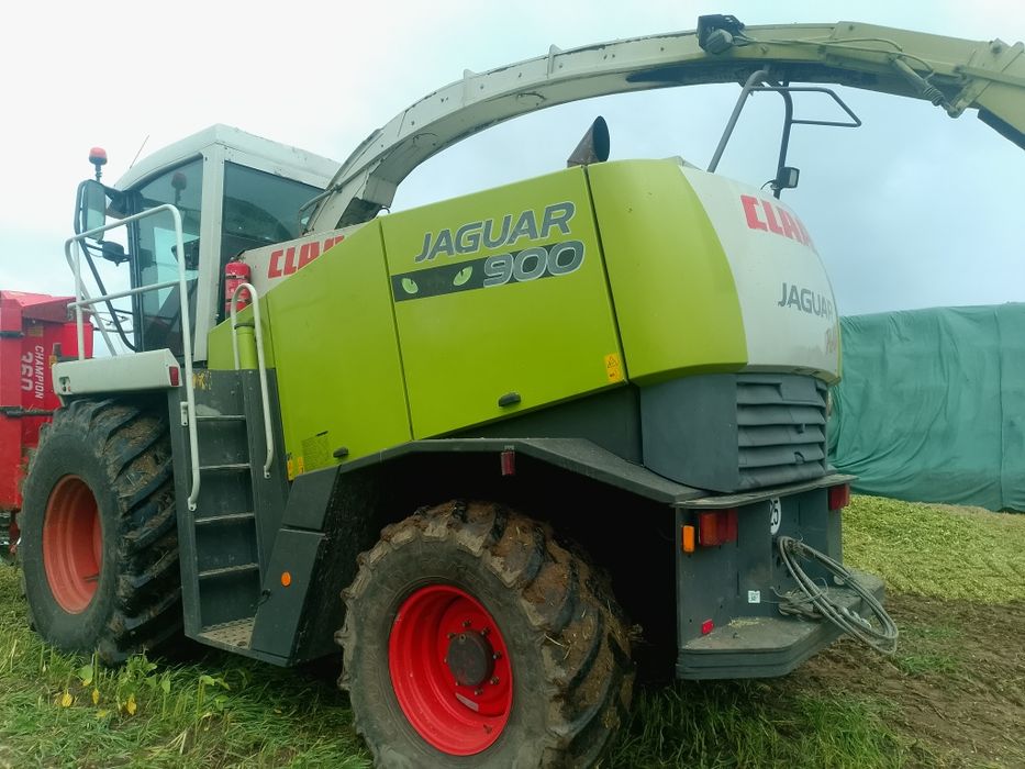 Zbiór kukurydza  trawy sieczkarnia Claas jaguar 890 900