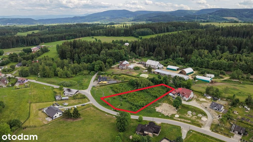Złotno | działka 3185 m² z widokiem | blisko Gór Stołowych