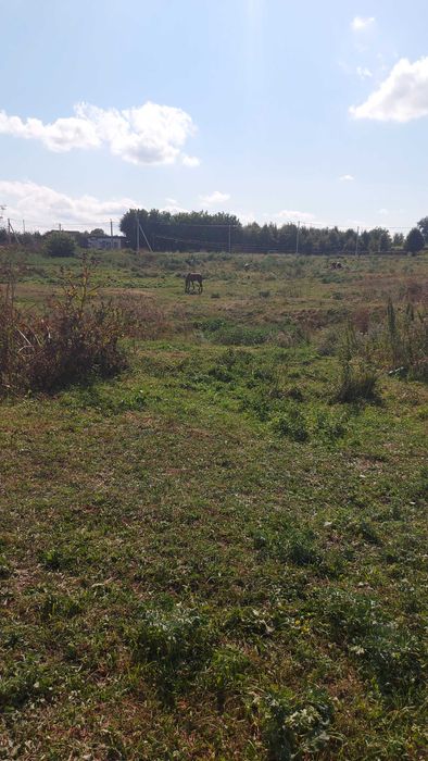 Земельна ділянка під забудову м. Чуднів