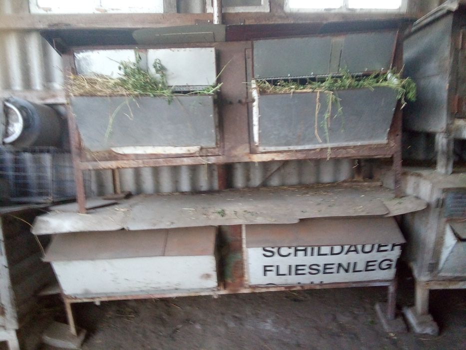 клітки для кролів.