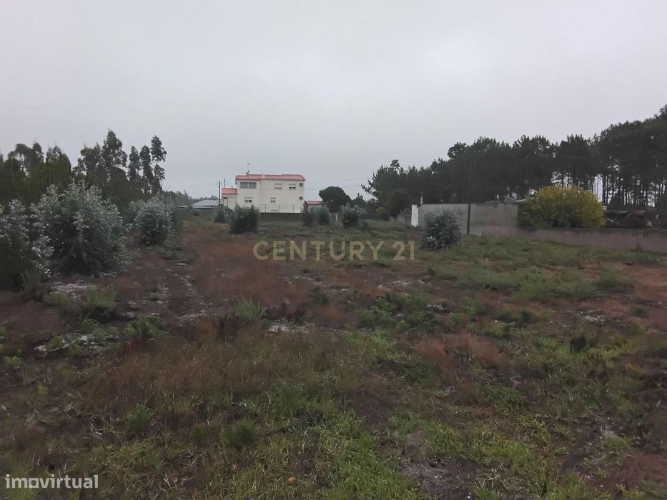 Terreno rústico à Venda em Grou, Guia, Pombal — Guia, Ilha E Mata Mourisca, Leiria