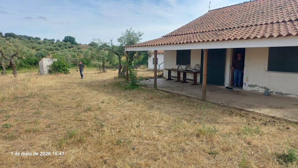 Quinta T3 Murada com 3.180m², Furo Artesiano e Anexos – castelo branco Idanha-a-Nova
