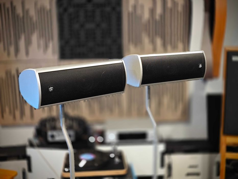 Акустическая система DLS TS3 + стойки