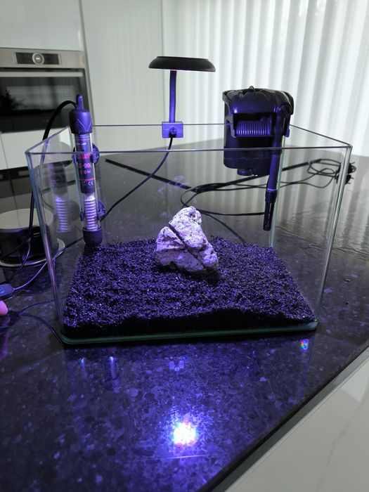 Aquário completo 20L ideal para Betta macho