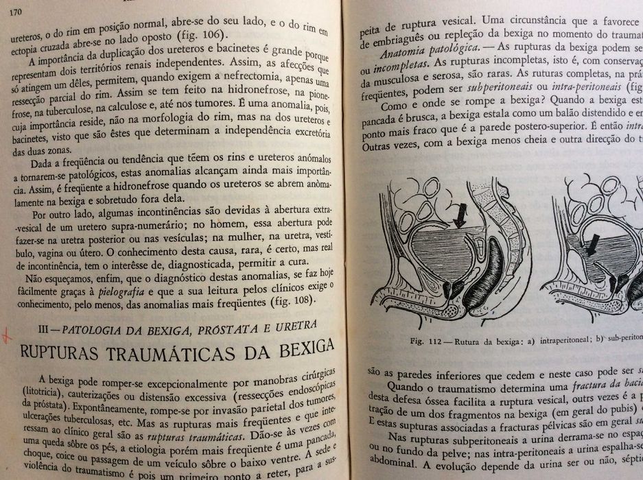 Iniciação à urologia clínica , 1944