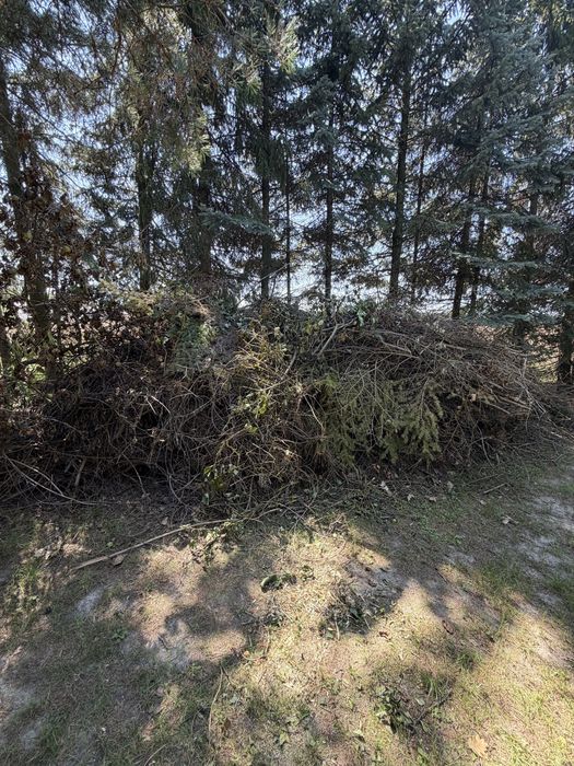 Gałęzie / chrust / zrębki / biomasa / opał