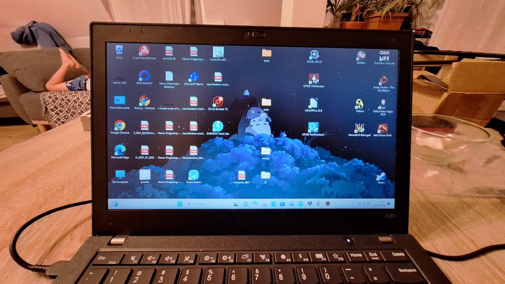 ThinkPad A285 używany