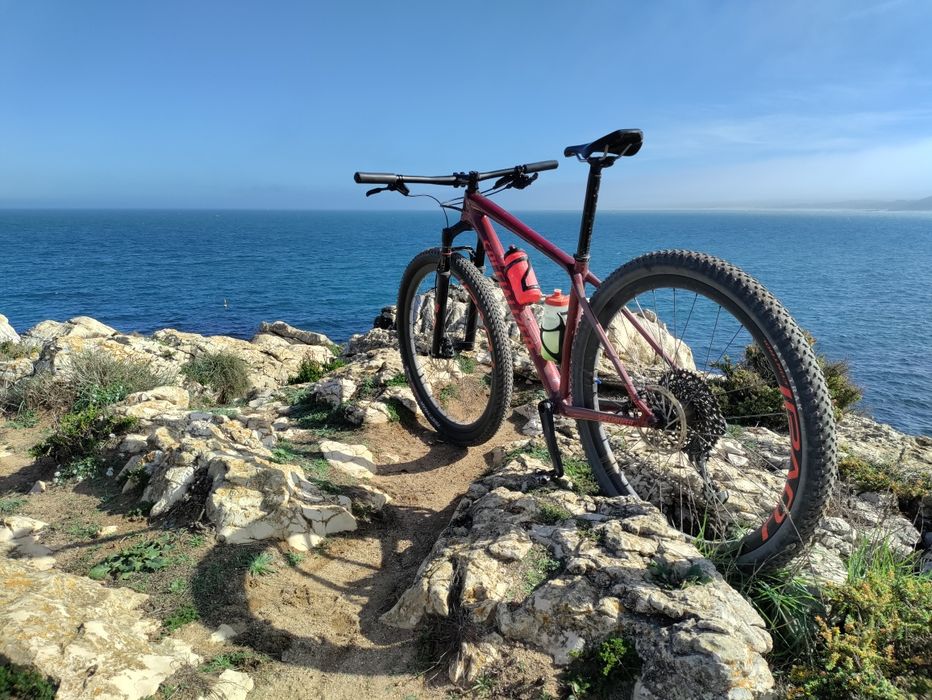 Specialized Epic HT Expert Carb 29