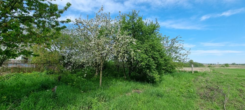 Без % Продаж Будину Макарів с.Наливайківка