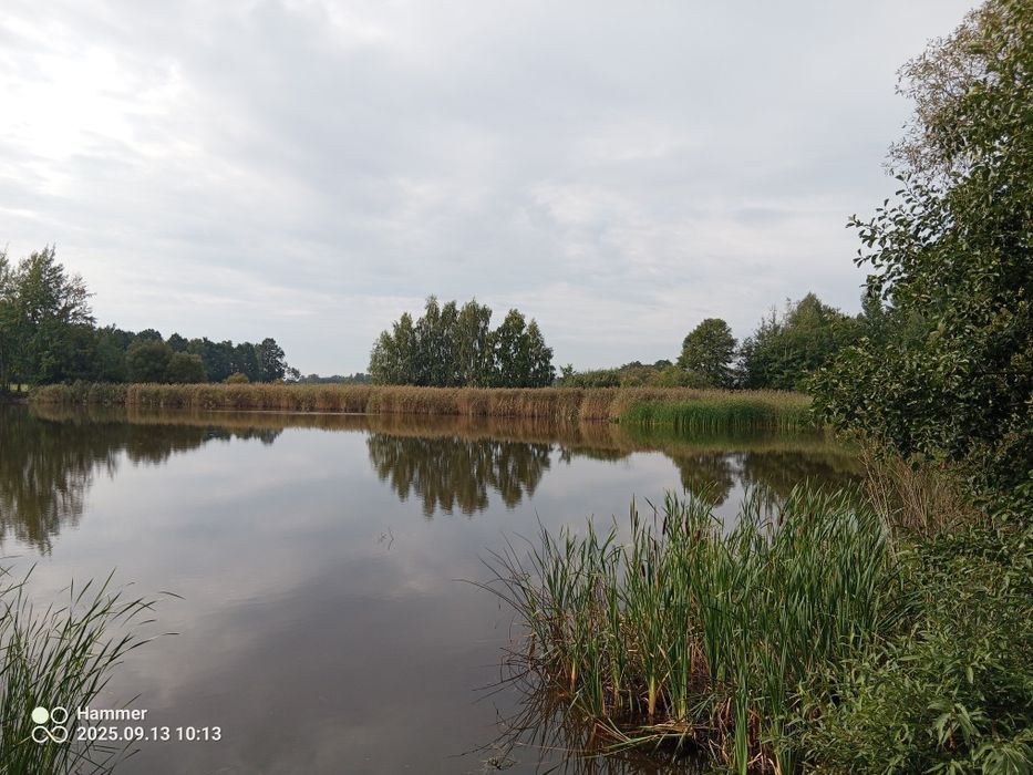 Działka 3,85h ze stawem
