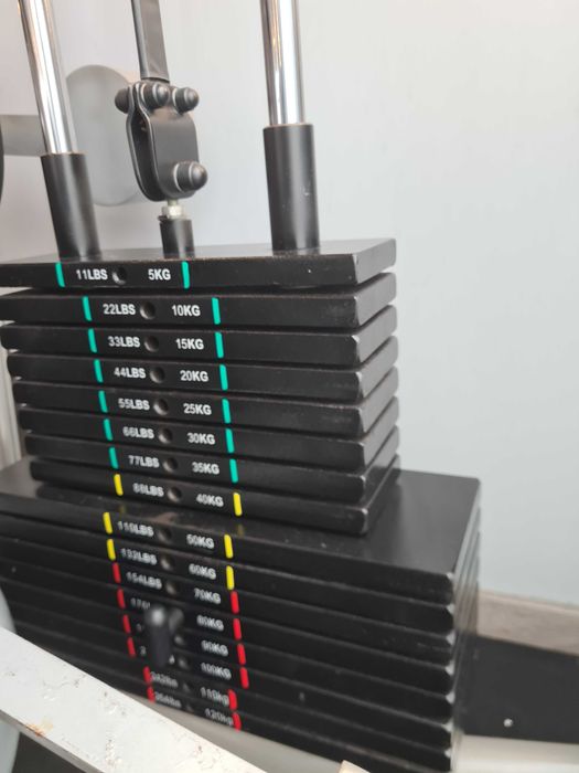 Seated Leg Curl  AS SPORT