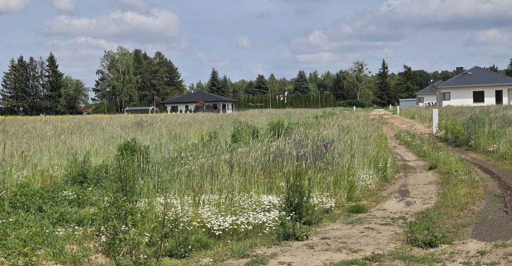 Działka budowlana Goławice Pierwsze