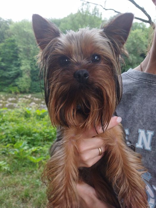 Если ты здесь, то я рядом...