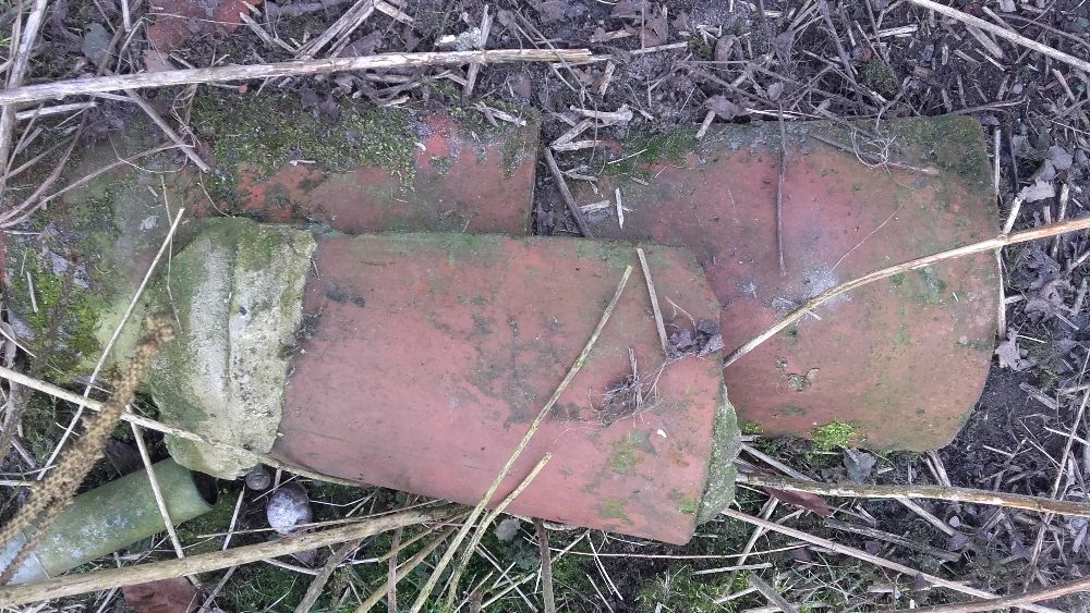 Gasior Gosiory do Dachowki Karpiowki Betonowej