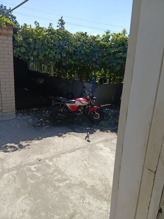 альфа 125. форте. рх