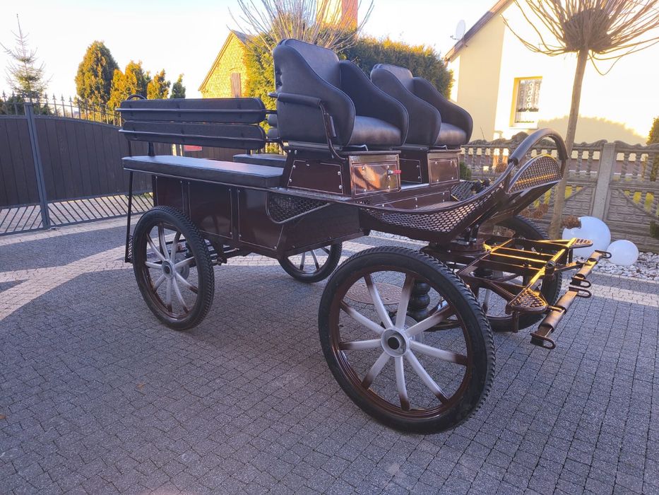 Bryczka konna treningowa powóz wagonetka