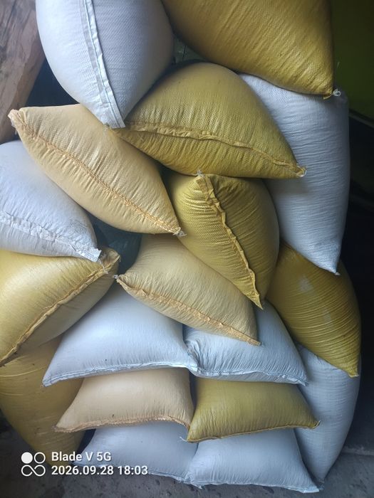 Owies gniady 255 KG czarny pelet 15 KG