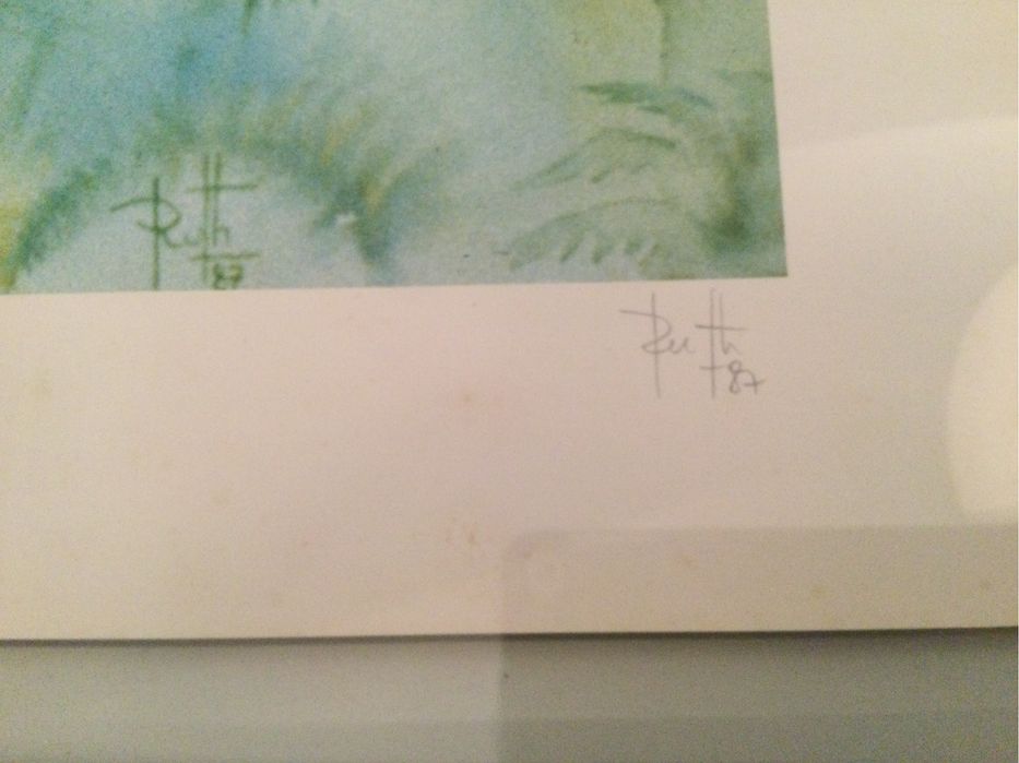 Serigrafia “O gato vegetal”