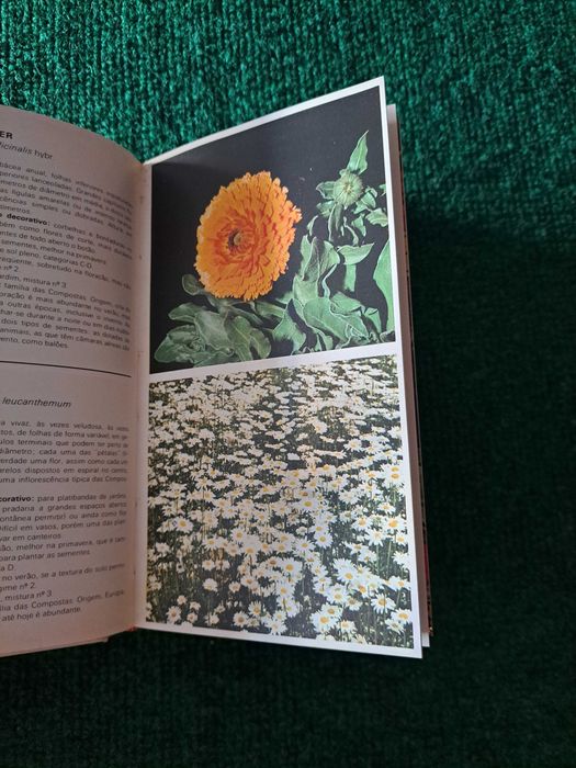 Tudo Verde - Guia das Plantas e Flores