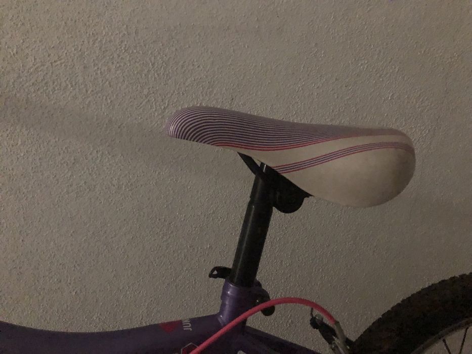 Bicicleta de criança roda 20 Berg Charm 203