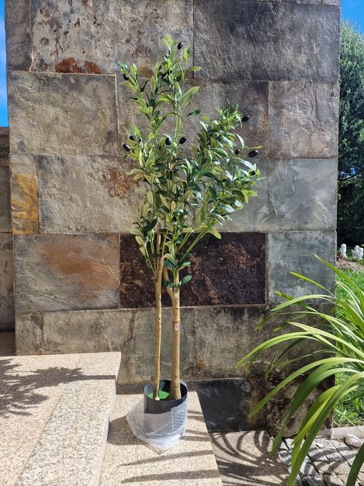 oliveira artificial decorativa