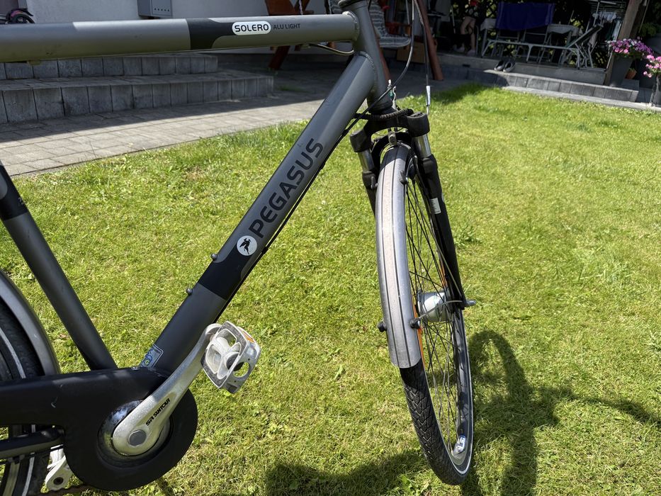 Rower pegasus męski
