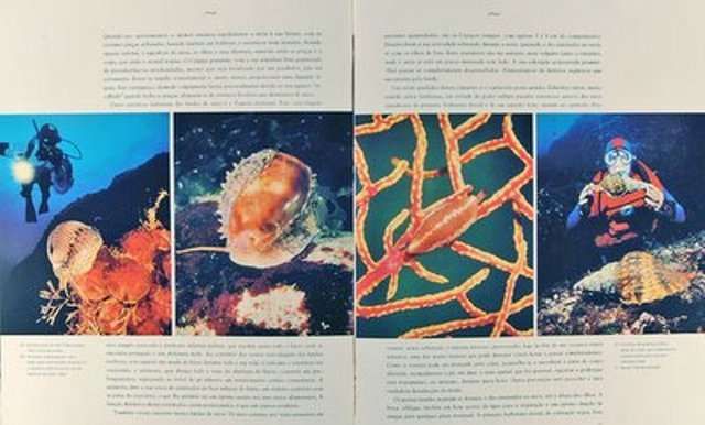 Sob Este Mar Português