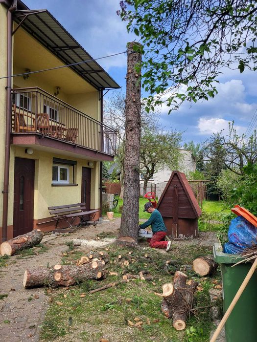 WYCINKA DRZEW - karczowanie , czyszczenie działek. Szybko i solidnie.