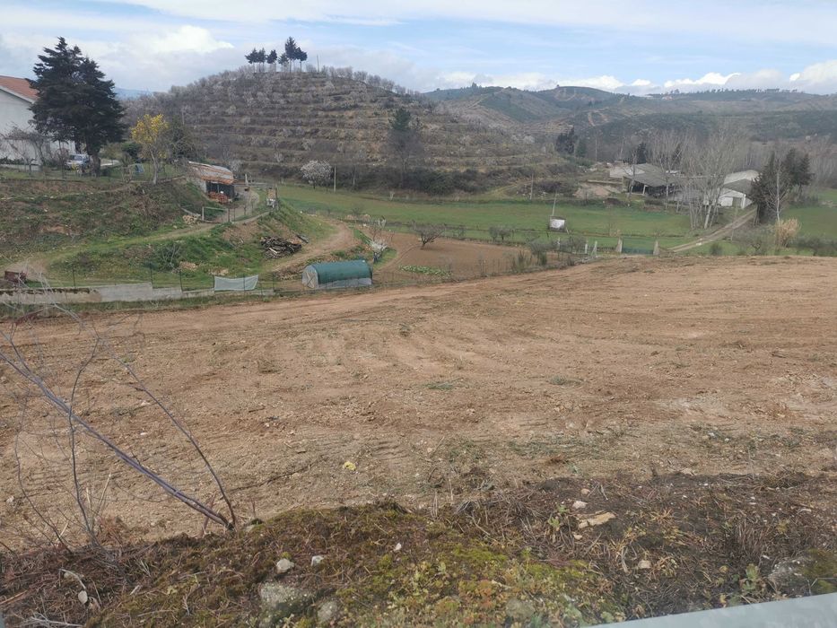 Terreno para utilização agrícola e com viabilidade de construção