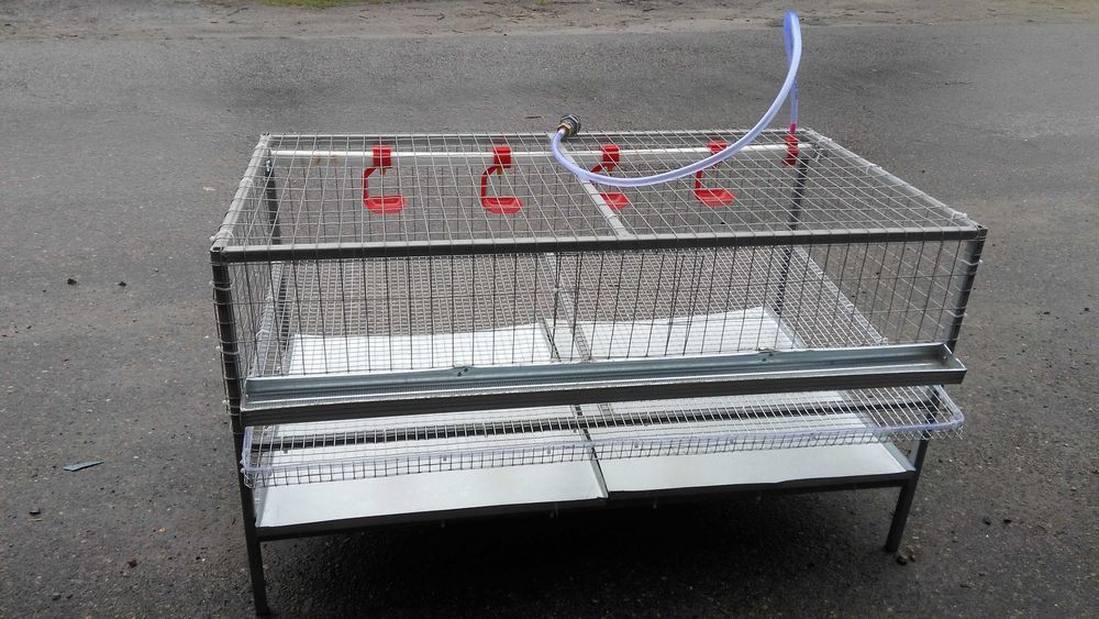 Брудер для курчат, перепелят .