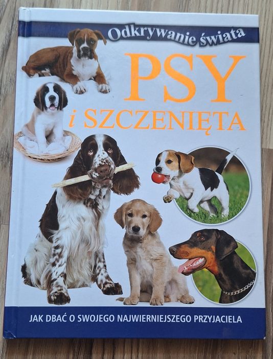Psy i szczenięta, poradnik jak dbać o pupila