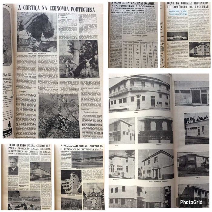 Suplemento do Diario da manhã, 28 de Maio de 1968. Estado Novo