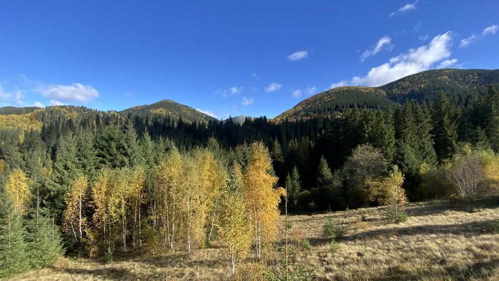 Земля під будову, межує з лісом, гарний доїзд