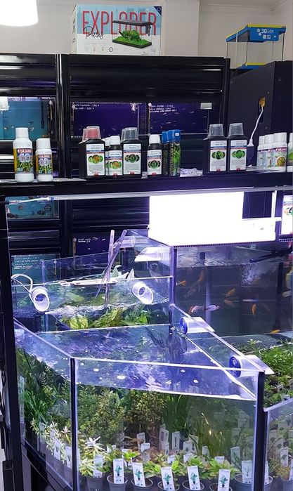 Bateria de aquários Cascata