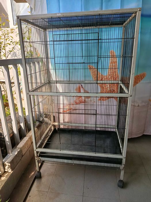 Entrego a quem vier buscar, pelo preço negociável