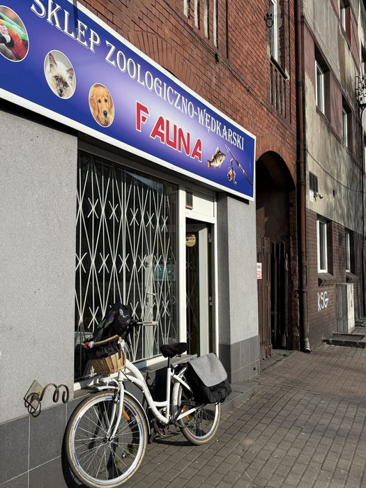 Wynajmę Lokal Zabrze-Mikulczyce