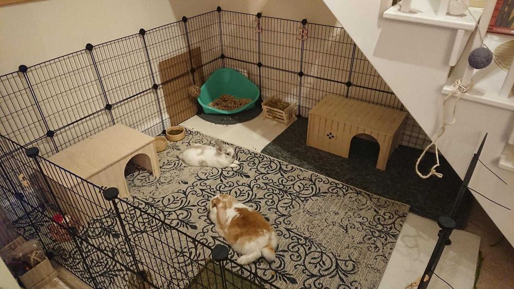 Wybieg NOWA Klatka Kojec dla KRÓLIKA Świnki Chomika PSA Modułowa DUŻA