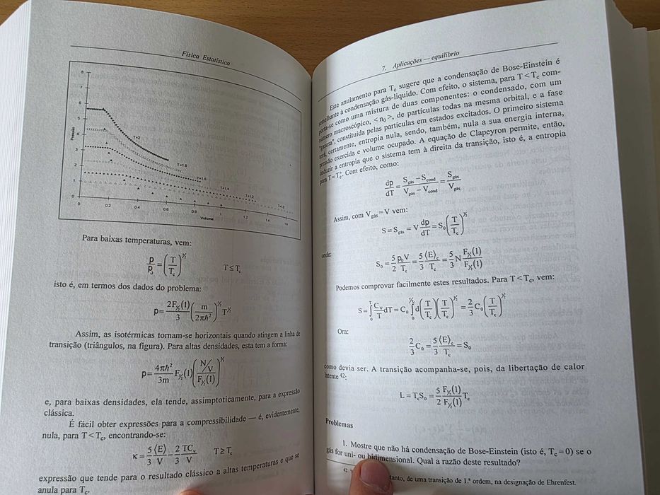 Livro "Física Estatística" de E. J. S. Lage